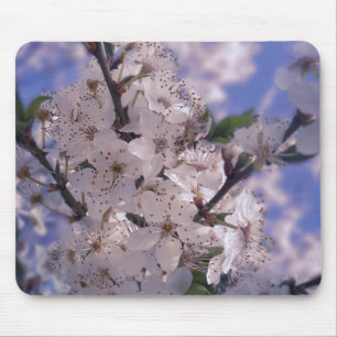 Tapis De Souris Cerisier aigre ciel bleu