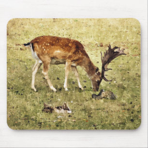 TAPIS DE SOURIS CERVEAU