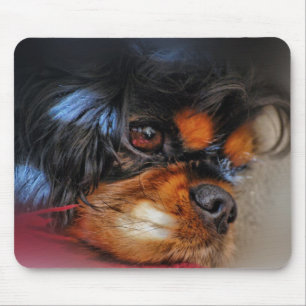 Tapis De Souris C'est UNE VIE DURE .......