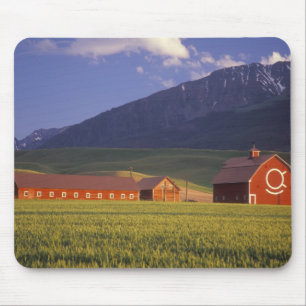 Tapis De Souris Champ de blé dans la vallée de Wallowa, juste