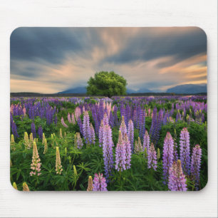 Tapis De Souris Champ de lupin en Nouvelle Zélande