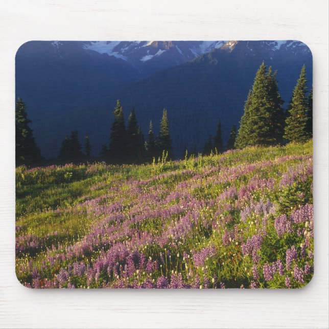 Tapis De Souris Champ de lupin, mont. Olympe, et nuages à (Devant)