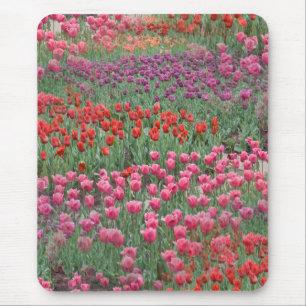 Tapis De Souris Champ De Tulipes