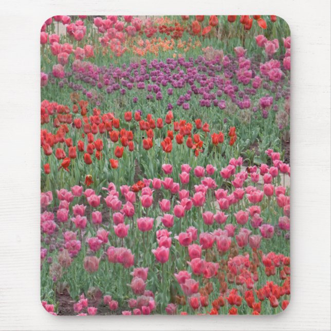 Tapis De Souris Champ De Tulipes (Devant)