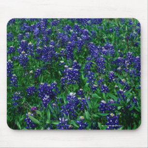 Tapis De Souris Champ des Bluebonnets de Texas