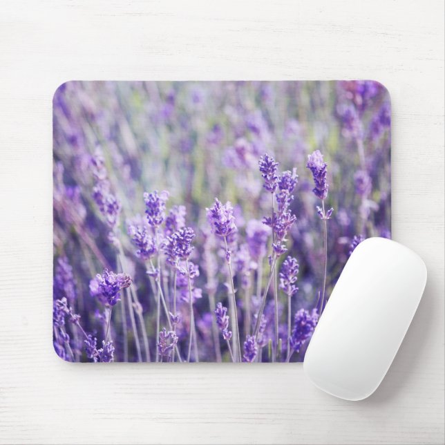 Tapis De Souris Champ Lavender (Avec souris)