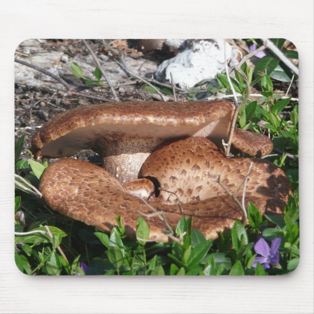 Tapis De Souris Champignons (Devant)