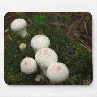 Tapis De Souris Champignons de vesse-de-loup de lycoperdon