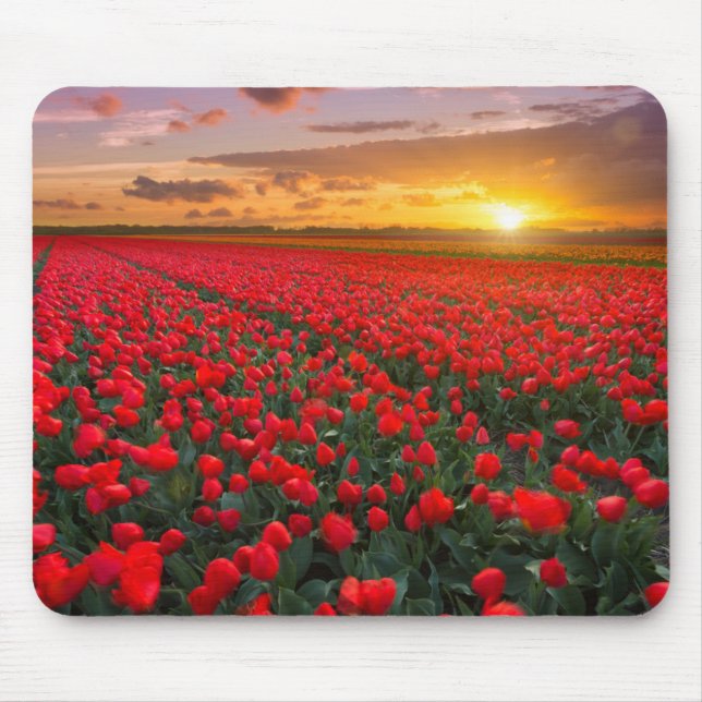 Tapis De Souris Champs de tulipe au coucher du soleil dans (Devant)