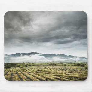 Tapis De Souris Champs ruraux de culture sous le ciel nuageux