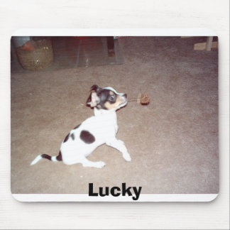Tapis De Souris Chanceux