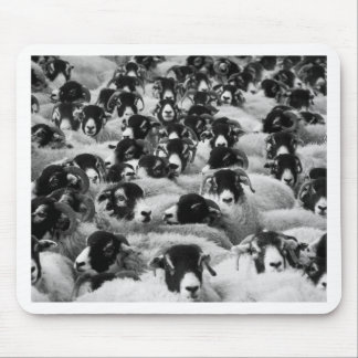 Tapis De Souris CHARGES de béliers Moutons Noir et Blanc