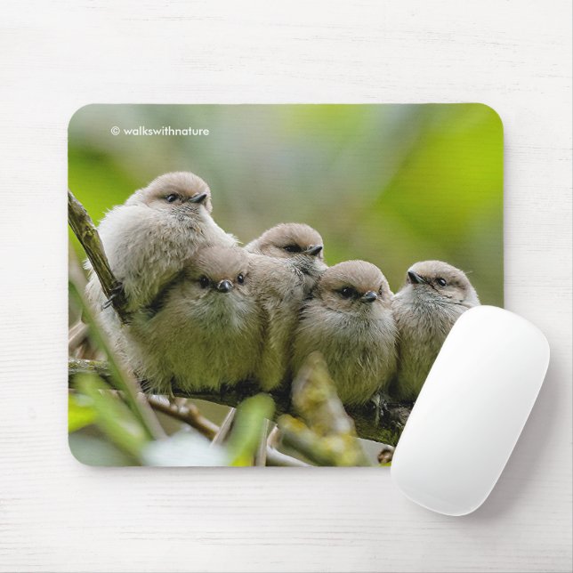 Tapis De Souris Charme de coeur Cute Bushtits Songbirds Photo de f (Avec souris)