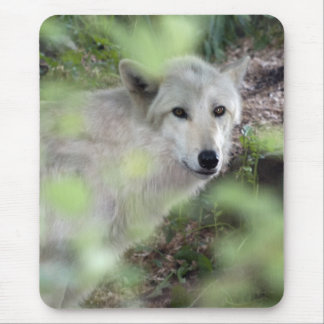 Tapis De Souris Charme de loup