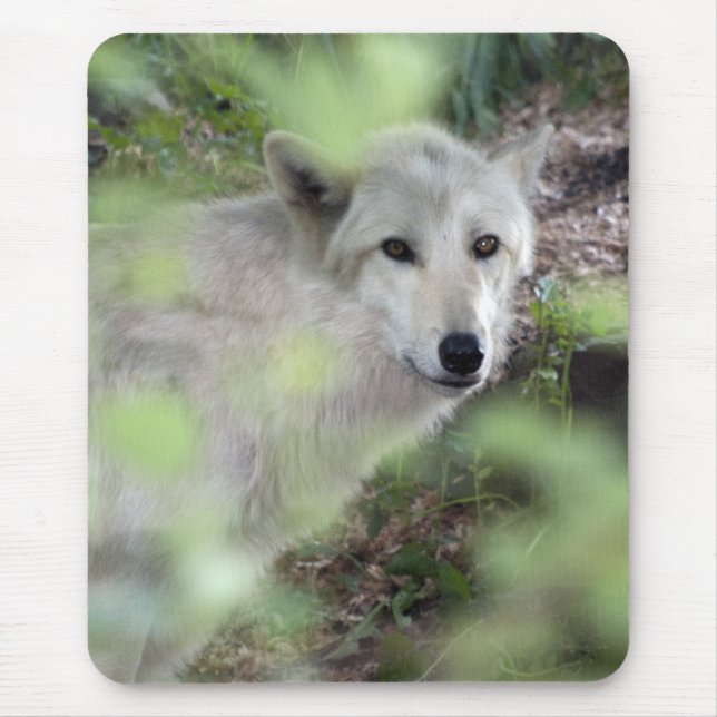 Tapis De Souris Charme de loup (Devant)
