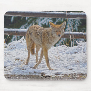 Tapis De Souris Chasse au coyote féminine en neige #Gift Mousepad