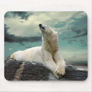 Tapis De Souris Chasseur blanc d'ours blanc sur la roche