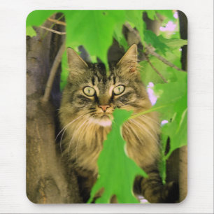 Tapis de souris Chat Arbre