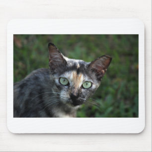 Tapis De Souris Chat blanc Brown gris avec yeux verts