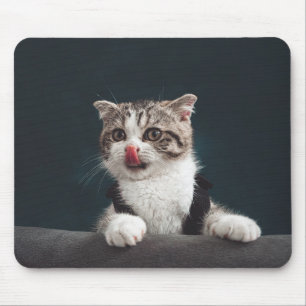 Tapis De Souris chat, chaton, animal de compagnie