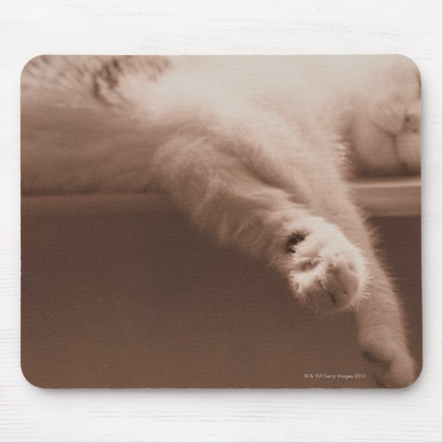 Tapis De Souris Chat couché (Devant)