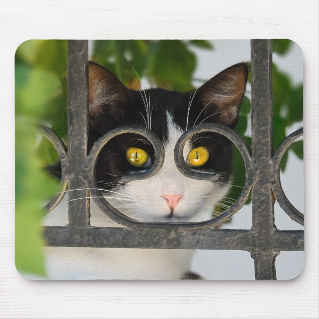 Tapis De Souris Chat curieux avec la monture de lunettes drôle - (Devant)