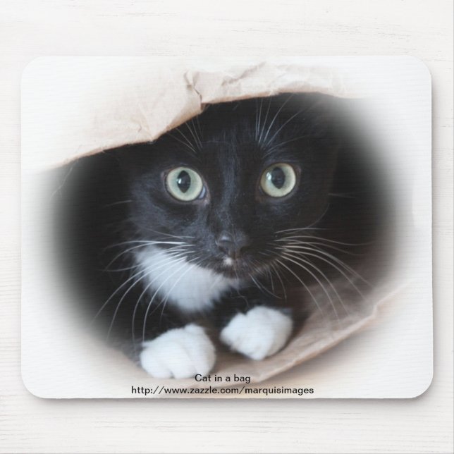 Tapis De Souris Chat dans un sac (Devant)