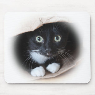 Tapis De Souris Chat dans un sac