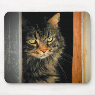 Tapis De Souris Chat de fenêtre
