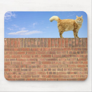 Tapis De Souris Chat de gingembre se tenant sur le mur de briques