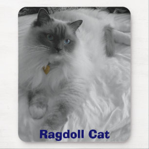 Tapis De Souris Chat de Ragdoll