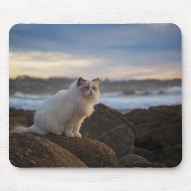 Tapis De Souris Chat de Ragdoll à la plage (Devant)