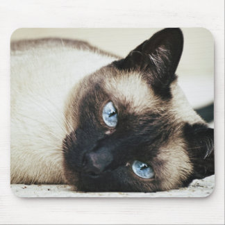 Tapis De Souris Chat de Siamese