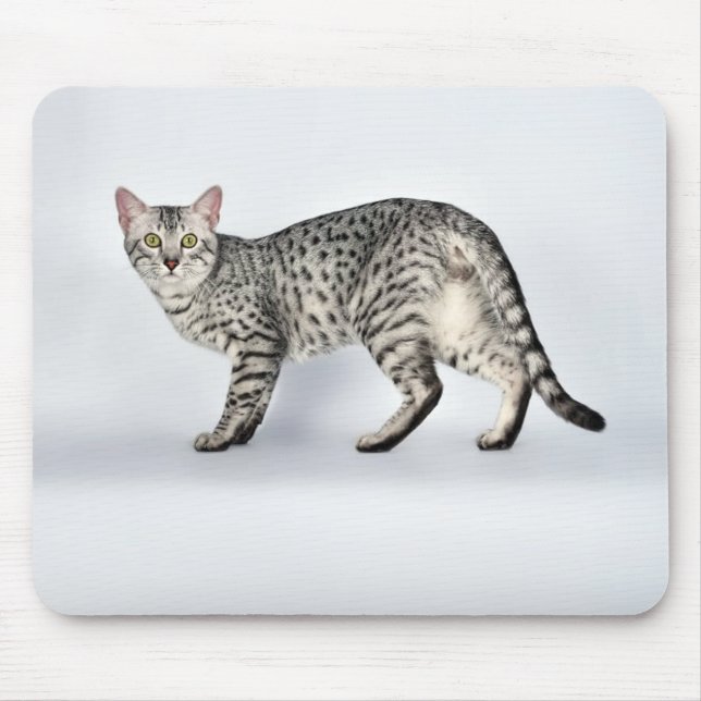 Tapis De Souris Chat égyptien Mau rare (Devant)