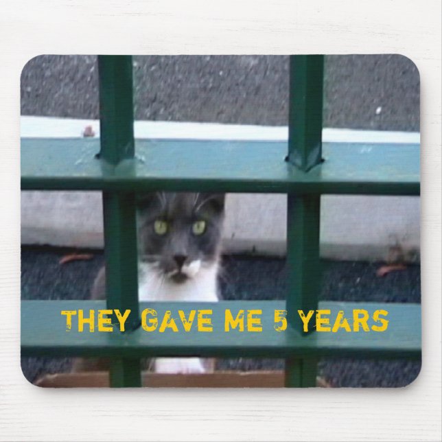 Tapis De Souris Chat en prison Mousepad (Devant)