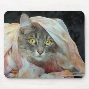 Tapis De Souris Chat enveloppé dans un tissu
