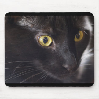 Tapis De Souris Chat et souris