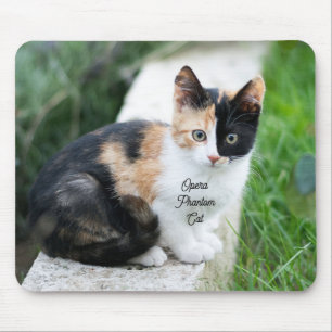 Tapis De Souris Chat Fantôme de l'Opéra