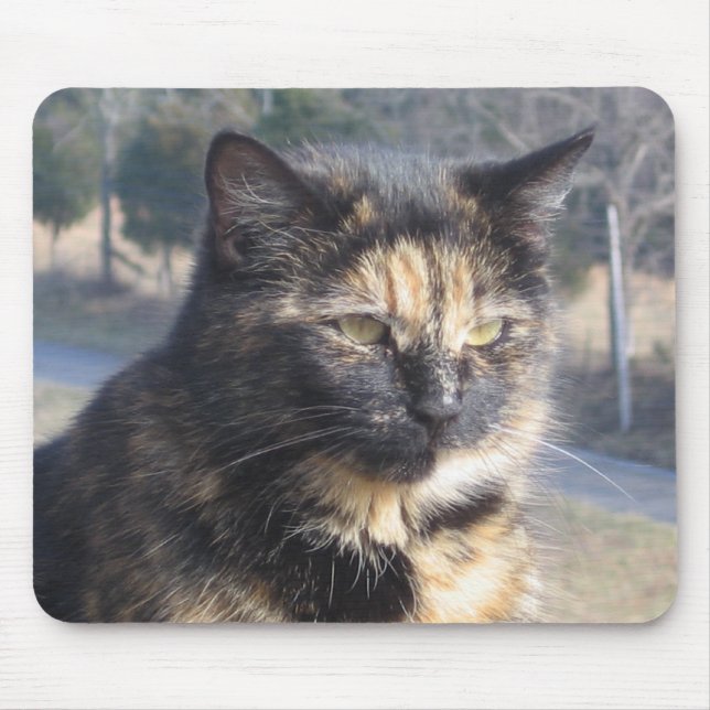 Tapis De Souris Chat fini (Devant)