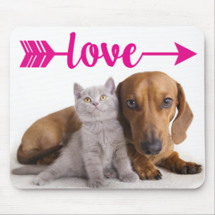 Tapis De Souris Chat Gris Chiot Chien Mignon Chaton Dachshund
