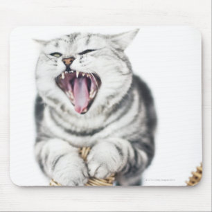 Tapis De Souris chat gris sur l'arrière - plan blanc
