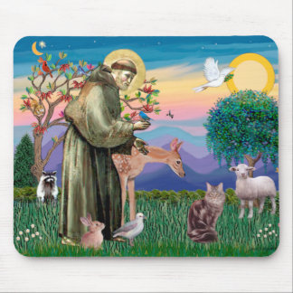 Tapis De Souris Chat Maine Coon - Saint François