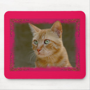 Tapis De Souris Chat Mausepad de gingembre