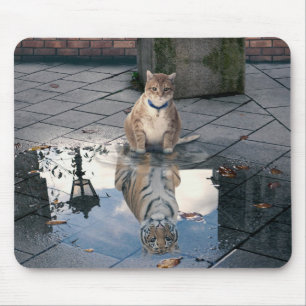 Tapis De Souris Chat miroir