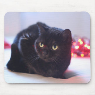 Tapis De Souris Chat Mousepad