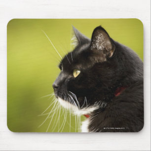 Tapis De Souris Chat noir