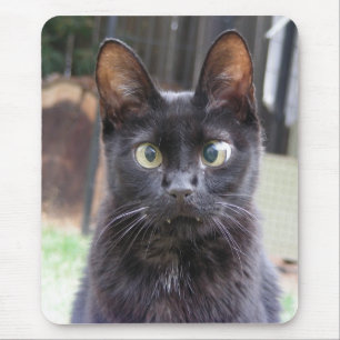 Tapis De Souris Chat noir de Kitty