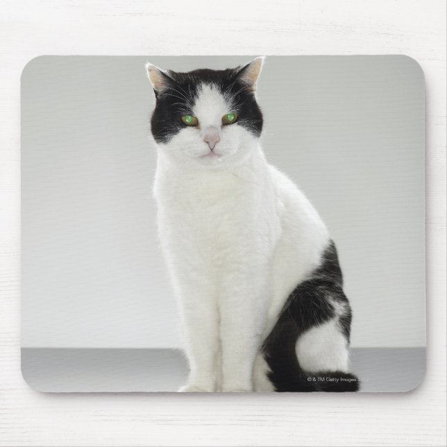 Tapis De Souris Chat noir et blanc aux yeux verts brillants (Devant)