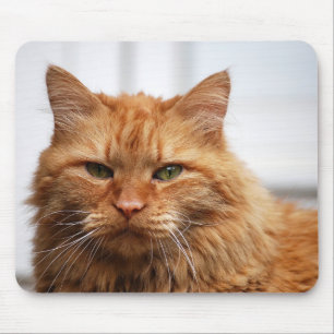 Tapis De Souris Chat norvégien Mousepad de forêt