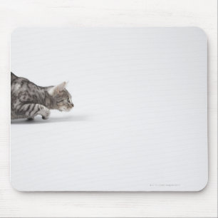 Tapis De Souris Chat prêt à sauter